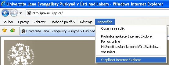 Msie01.jpg